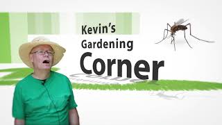 Kevins Gardening Corner 2 [upl. by Alverson]