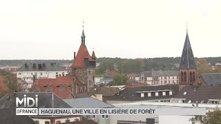 SUIVEZ LE GUIDE  Haguenau une ville en lisière de forêt [upl. by Kilan]