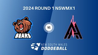 2024 NSWDL R1 Mixed Div 1 Arcadia Assassins vs Burwood Bears [upl. by Monte]