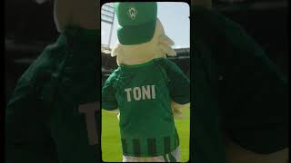 Der quotTach der Fansquot 2024  Aftermovie  SV Werder Bremen svw werder fußball [upl. by Pike]