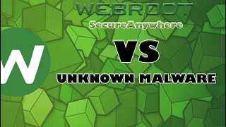 Webroot SecureAnywhere VS Unknown Malware [upl. by Rains572]