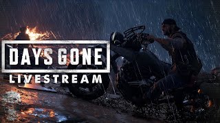 Will we really ride to the North   Days Gone  Walkthrough   Live  Part 8 [upl. by Arbmat830]