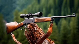 Most Accurate 22 Rifles You Should Buy in 2024 [upl. by Eva]