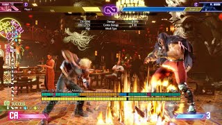 TERRY 5800 DAMAGE COMBO [upl. by Sine]