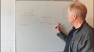 Ein Coumarin im Chitin von Skorpionen Synthese Einblicke in Fortgeschrittene Organische Chemie 17 [upl. by Korns]