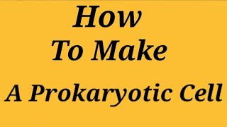 How to make a Prokaryotic Cell Model [upl. by Rickie976]