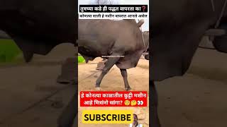 🧐कोणत्या काळातील कुट्टी मशीन आहे मित्रांनो🤔👀😯farmingshortvideosviralshortsRoyalशेतकरीशेतकरीbran [upl. by Hugues]