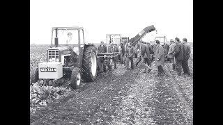 Standen 1974  Green For Go  Sugar Beet Harvesters  Marketing Video  Ely Riverside  Ely Market [upl. by Anaeirb]