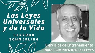 39  Ejercicios para VERIFICAR LAS LEYES  Gerardo Schmedling [upl. by Reiniar90]