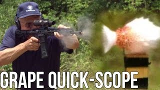 Quick scope a grape in half a second with an AR15 Jerry Miculek [upl. by Netty656]