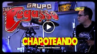 2021  Grupo PEGASSO  CHAPOTEANDO  Zagar desde el bar  Pegasso [upl. by Arahahs766]