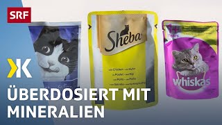 Katzenfutter im Test Jedes zweite Nassfutter ist ungesund  2017  Kassensturz  SRF [upl. by Maud430]