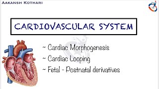 Heart Morphogenesis Cardiac Looping Fetal  Postnatal Derivatives  Cardiovascular Embryology [upl. by Ailadi]