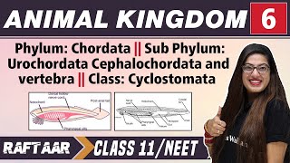 Animal Kingdom 06  Phylum Chordata II Class Cysclostomata  Class 11NEET  RAFTAAR [upl. by Weiman37]