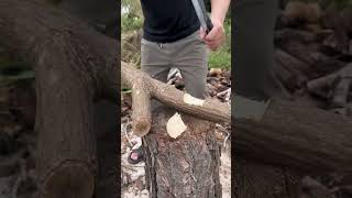 The process of splitting half dry wood with hand held steel knife [upl. by Akeem]