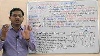 Cholinergic Drugs Part 02  Muscarinic amp Nicotinic Receptors  Cholinergic Receptors  Cholinergic [upl. by Hutchison28]