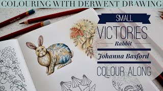 Colouring in SMALL VICTORIES Rabbit  Johanna Basford  Derwent Drawing Colour along [upl. by Sidman]