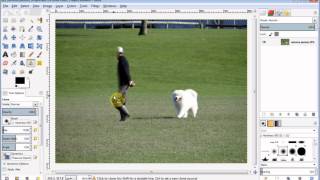 Gimp beginners Project  remove a person from a photo using the clone tool [upl. by Haye]