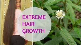 Hair Mask For EXTREME HAIR GROWTH  Indian Ayurvedic SecretSushmitas Diaries [upl. by Atinaej]