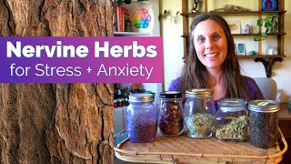 Nervine Herbs for Stress and Anxiety [upl. by Adolphe]