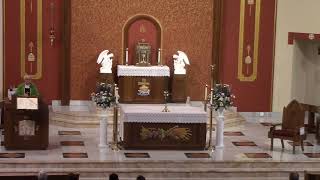 Homily Respect Life Sunday Twentysixth Sunday in Ordinary Time  Fr Hahn [upl. by Leiba928]