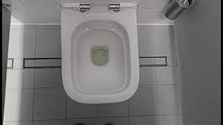 2010s Geberit Rimless toilet on a Geberit Flush Panel [upl. by Rip568]