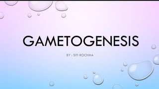 Gametogenesis gametogenesis sel biologi gamet materikelasxi [upl. by Artinahs273]