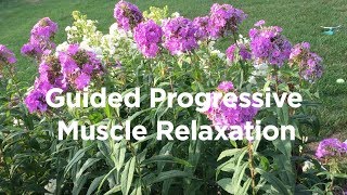 Guided Progressive Muscle Relaxation with music [upl. by Yllek]