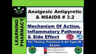 32  Mechanism Of Action amp Side Effects of Analgesic Antipyretic amp NSAIDS DCMA Tutorial in Hindi [upl. by Liss]