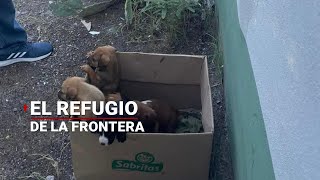 LaOtraFrontera  Un refugio de todo tipo animales en Chamizal Ciudad Juárez [upl. by Heber]