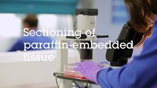 Sectioning of paraffin embedded tissue video protocol [upl. by Tabbatha468]