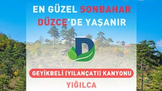 Geyikbeli Yılançatı Kanyonu Tabiat Parkı  Yığılca [upl. by Mak]