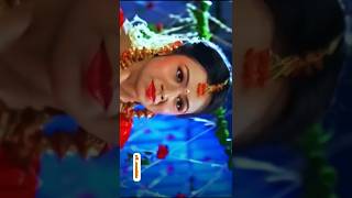 Kholi de tora gadha gajara 🙈 odialovestatus oldisgold shortvideos youtube [upl. by Tisha]