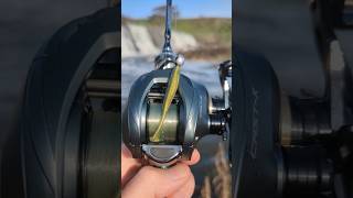 Casting Micro Jighead on Budget BFS Setup  Seasir Cast X [upl. by Bergeman]