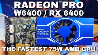 Radeon Pro W6400  RX 6400 Gaming Review [upl. by Nneb862]