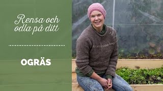 Rensa och odla på ditt ogräs [upl. by Elleinad482]