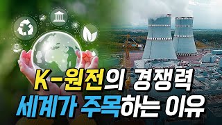 핫클립 K원전의 경쟁력 세계가 주목하는 이유  YTN 사이언스 [upl. by Nitsyrc]