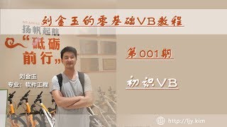 零基础VB教程001期：初识VB [upl. by Kitarp]