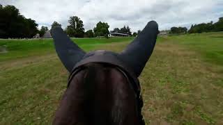 En selle avec Alfred Madamet aux Championnats de France FFE des Courses Elite Cross à Poneys 2024 [upl. by Eustatius]