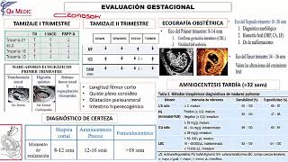 5 RM19 1V DIA 2 OBSTETRICIA EVALUACION EN GESTACI N PARTE II [upl. by Ursuline]