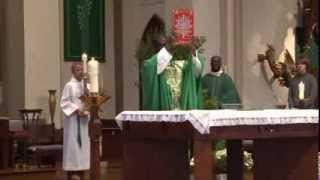 Fr Joseph Osei Bonsu Celebrates Mass at St Marys Church Auburn New York [upl. by Hcaz]