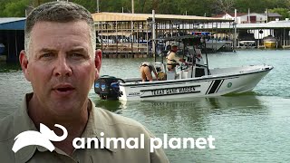 Vigilando las aguas de Texas en busca de delitos  Guardianes de Texas  Animal Planet [upl. by Culberson]