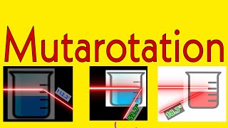 Mutarotation in biochemistry ll Mechanism of mutarotation in biochemistry II Process of mutarotation [upl. by Landsman]