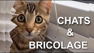 CHATS amp BRICOLAGE [upl. by Semadar]