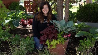 Perennial Shade Container 😍🌿🌥 Garden Answer [upl. by Rozanna]