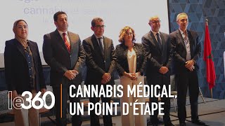 Médicaments à base de cannabis ça avance [upl. by Hcirdla644]