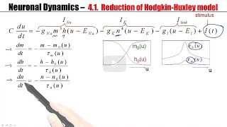 CNS41  From Hodgkin Huxley to 2D [upl. by Selene766]