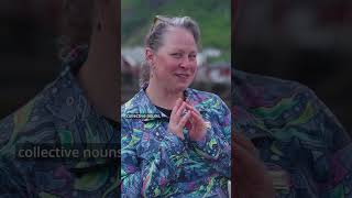 Rapid Fire Questions with Kelly CourseyGray  Lindblad Expeditions [upl. by Ydnak]