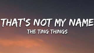 The Ting Tings  Thats Not My Name Lyrics [upl. by Eidroj]