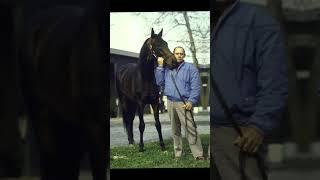 rip legend secretariat manowar hickstead pharlap sham [upl. by Latia12]